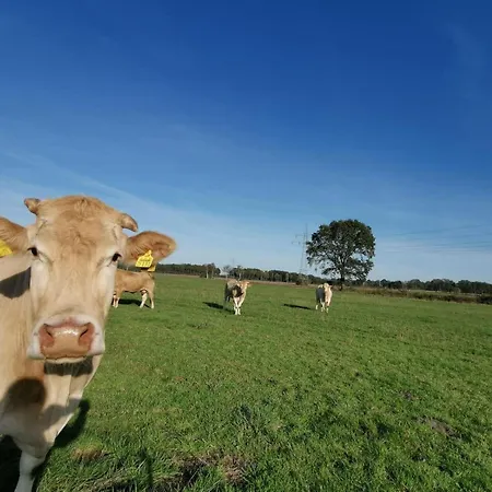 Hoeperhof * Botersen