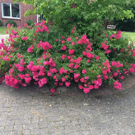 Hoeperhof Appartamento *