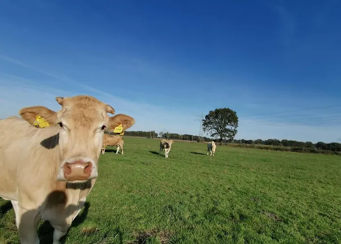Hoeperhof * Botersen