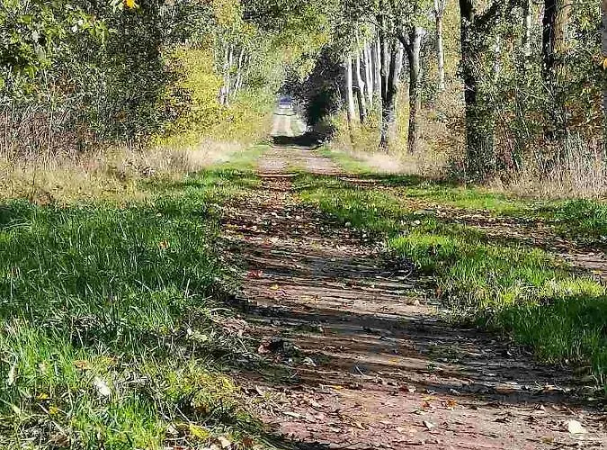 Hoeperhof Apartment Botersen