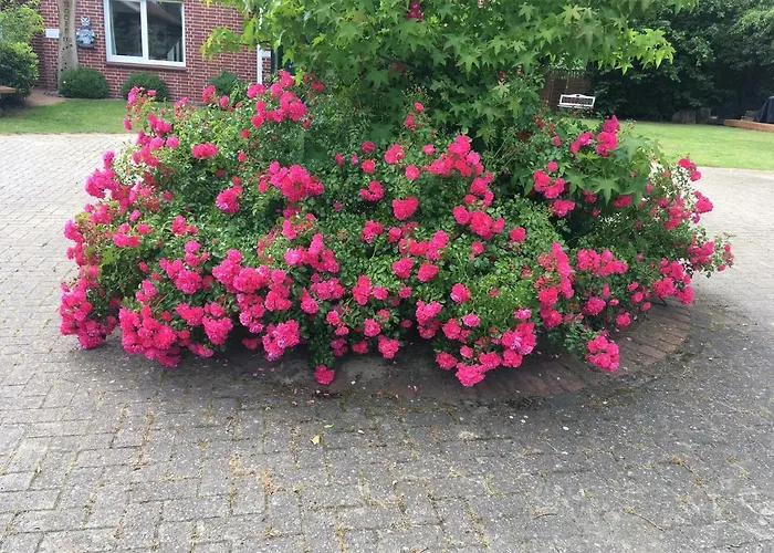 Hoeperhof Apartment *